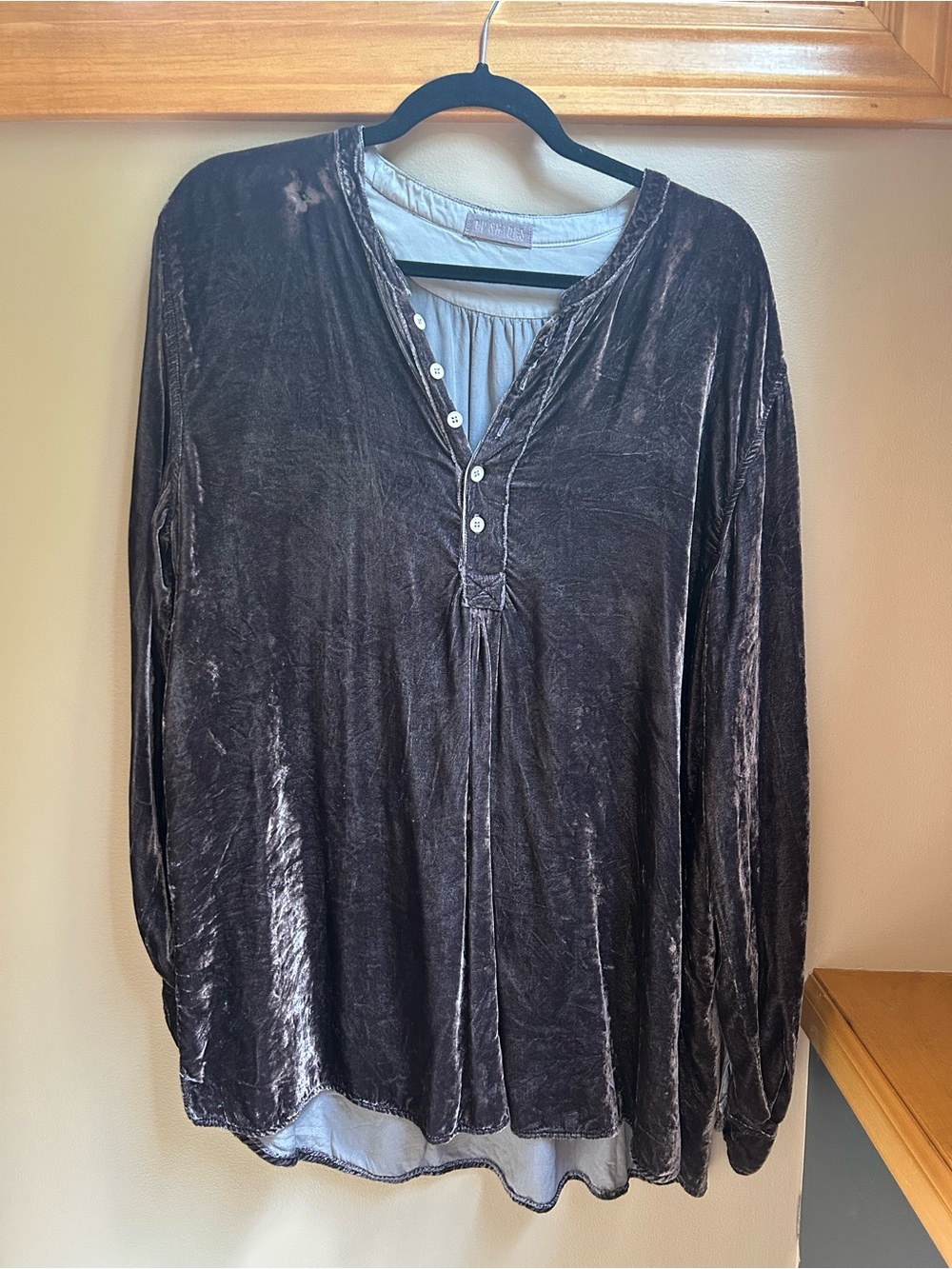 CP Shades Velvet Button Up